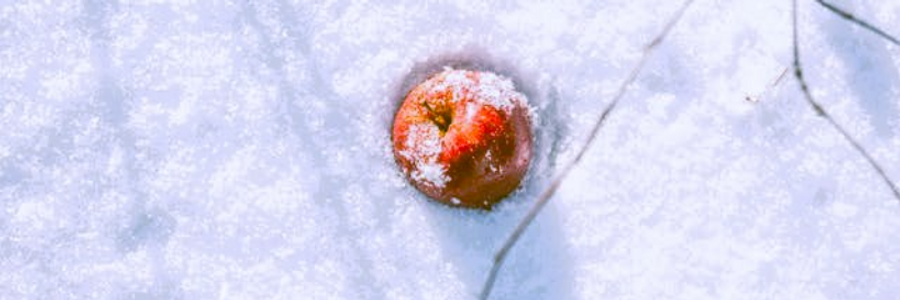 Cover image for post Judgement, by CynthiaCalder