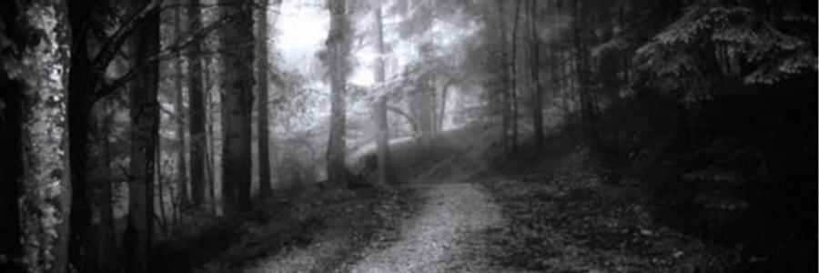 Cover image for post Fictionalized Stream of Consciousness (Unedited), by CynthiaCalder