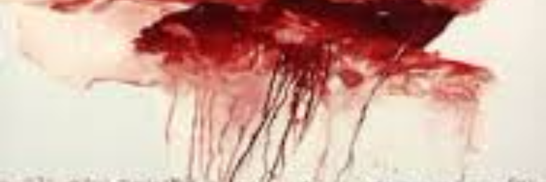 Cover image for post Crimson Blood of Betrayal, by sandflea68