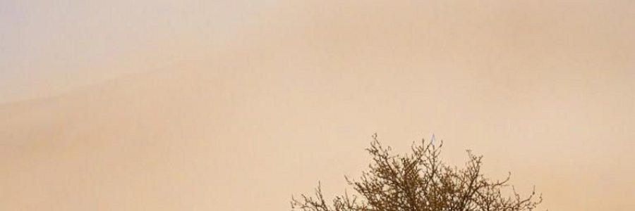 Cover image for post HERMANN HESSE : SELF- UNDERSTANDING AND ENLIGHTENMENT — ALEXIS KARPOUZOS
, by alexiskarpouzos