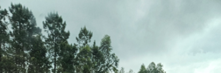 Cover image for post Bus thoughts, by ArtemisRiver