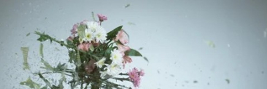 Cover image for post Shattered Like a Crystal Vase , by Writer77