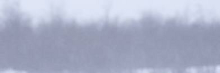 Cover image for post Repatriation, by VincentVanEgo