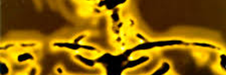 Cover image for post fuzz, by Plexiglassfruit