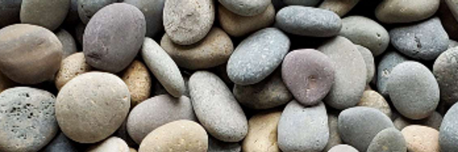 Cover image for post Tolerance, by MLHoffman