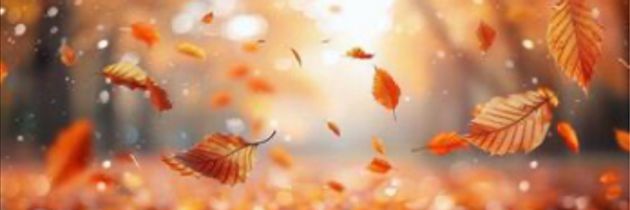 Cover image for post Complimentary , by MLHoffman