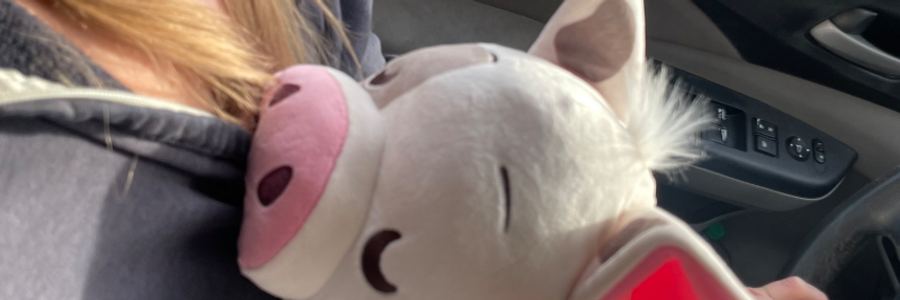 Cover image for post The Love Hidden Within, by MLHoffman