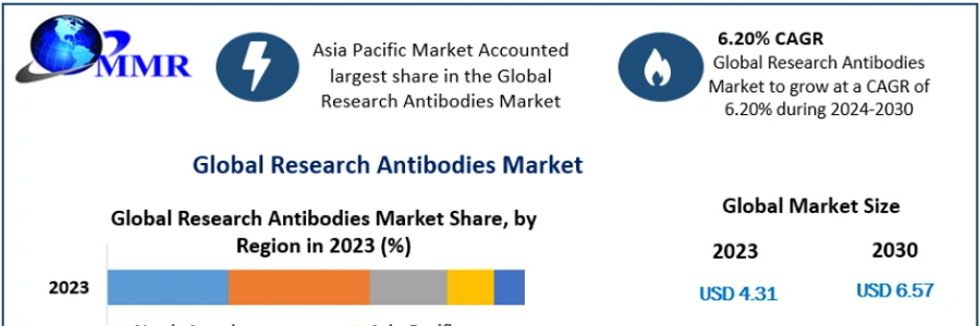Cover image for post Research Antibodies Market Growth Market Growth Research On Key Players
, by poojammr