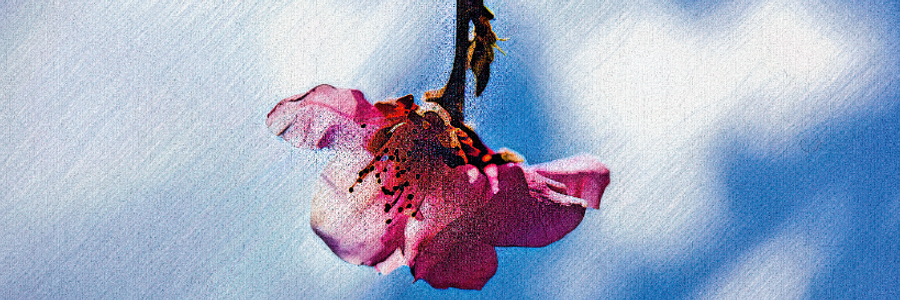 Cover image for post The Poet Goddess, by BilboBill