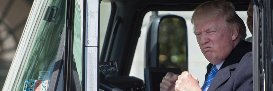 Cover image for post Much Too Big To Be Blamed, by Bunny