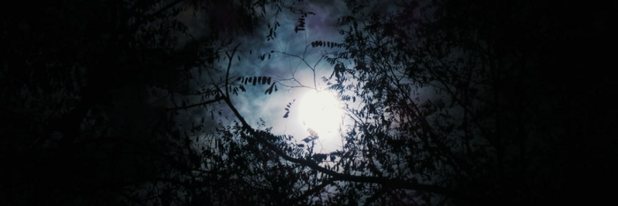 Cover image for post Tell me how your heart was broken—, by Last