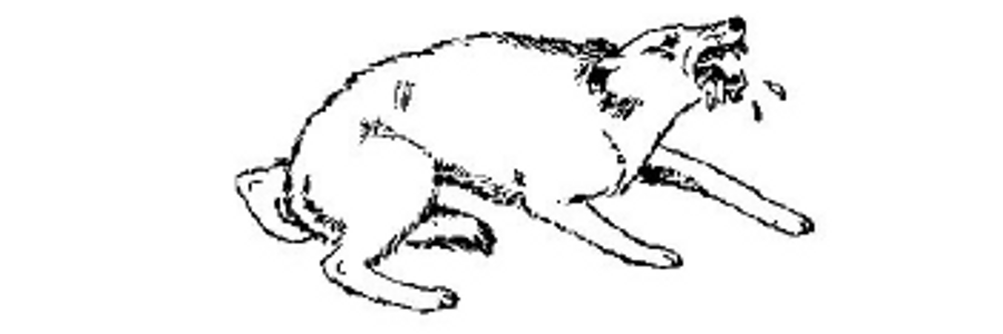 Cover image for post September 2017, by Hell4heart