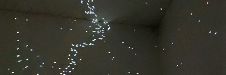 Cover image for post I sneak up my driveway,, by sjt11