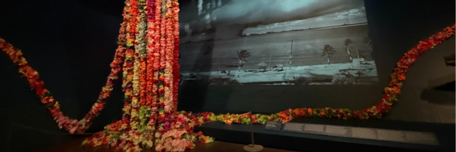 Cover image for post cartagena, by sjt11