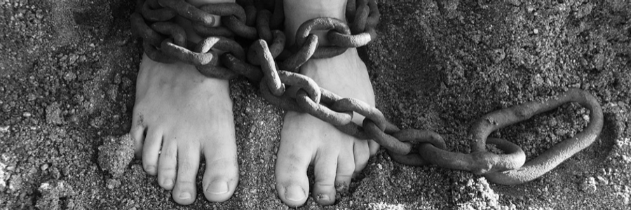 Cover image for post The Weight of The Public Gaze, by Bunny