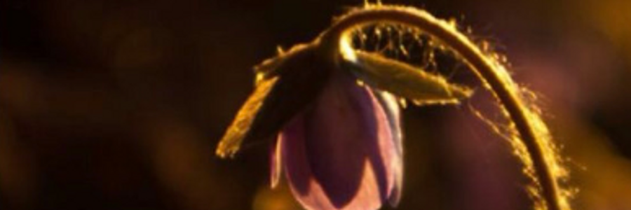 Cover image for post Untitled, by Mariah