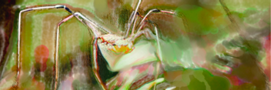 Cover image for post Junkie, by BilboBill