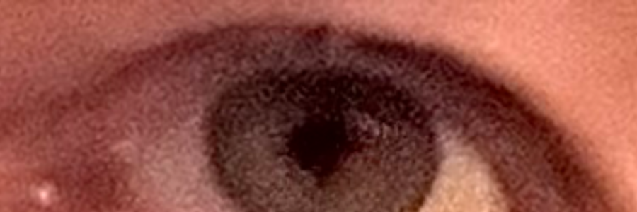 Cover image for post Real Eyes, Realize, Real Lies, by Dionysian66