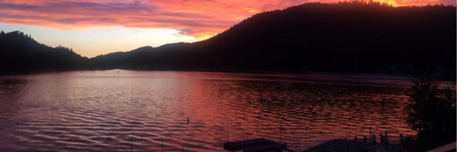 Cover image for post Irreconcilable Differences, by pizzamind