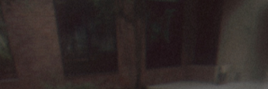 Cover image for post CORVUS, by Mnezz