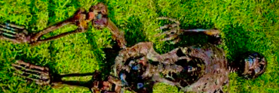 Cover image for post Corpsing the Truth, by Dionysian66