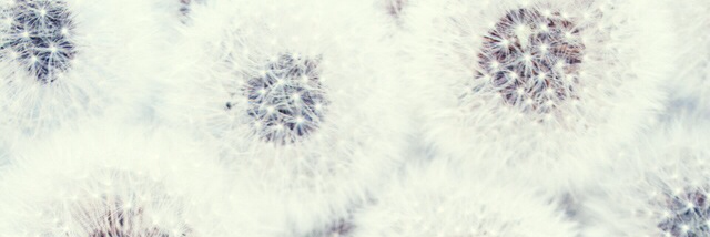 Cover image for post Gossip Hick Central, by big_bad_crybaby