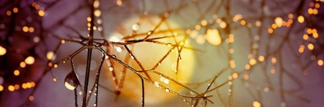 Cover image for post A Girl I Knew, by rainywrites