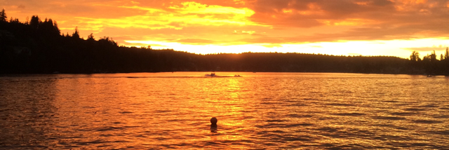 Cover image for post Untitled, by VinhPhuoc