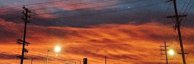 Cover image for post University, by Tereza