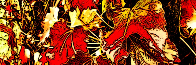 Cover image for post Really?, by Yowwa