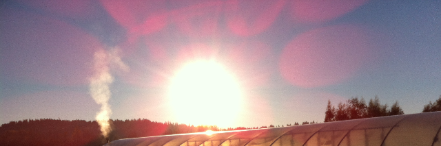 Cover image for post Infiltrator, by JaimeMathis