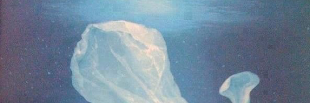 Cover image for post he saw her through the glass but only stopped to watch, by unspecific