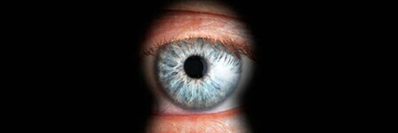 Cover image for post The New Guardian, by KateSwierz