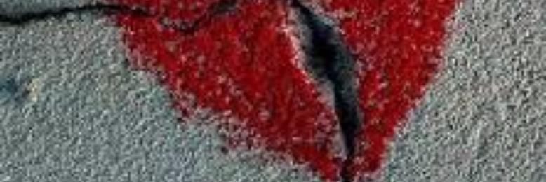 Cover image for post Naked Heart, by sandflea68