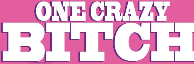 Cover image for post The Voices in My Head Disagree, by YAngeL