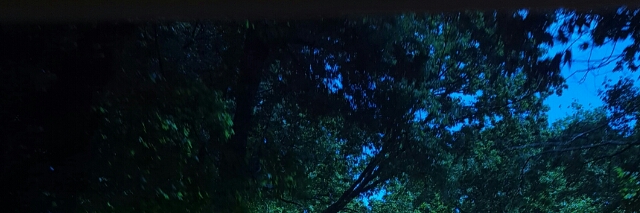 Cover image for post Summer, by estein42