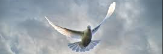 Cover image for post Without a Doubt, by RiverStarr