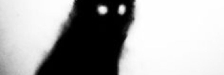 Cover image for post Who, by Madeline