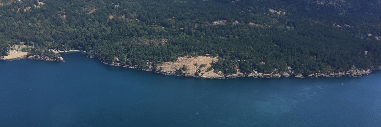 Cover image for post Untitled, by A