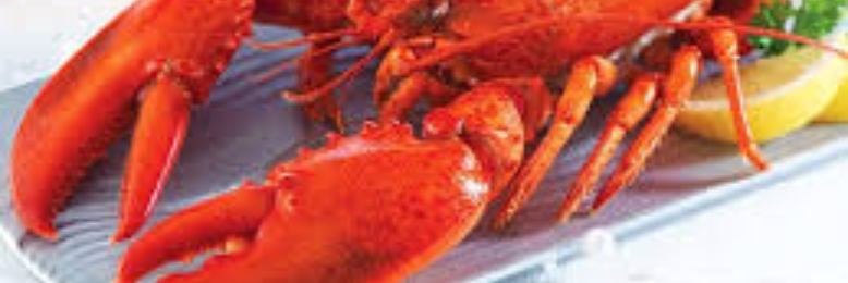 Cover image for post Changing Colors, by sandflea68