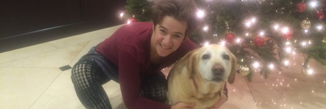 Cover image for post The holidays were great, by kamaprana