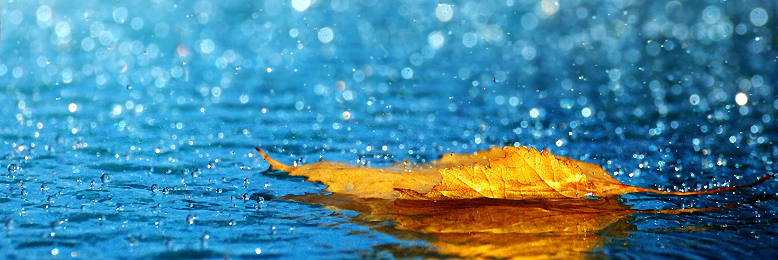 Cover image for post Monsoon, by simplylove