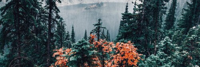 Cover image for post Stronger Than Life, by monia_said