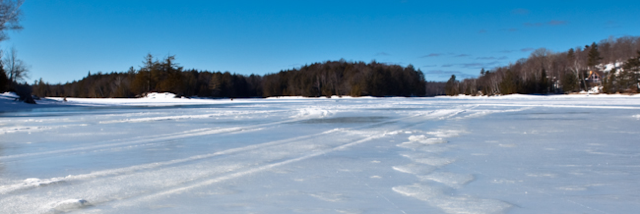 Cover image for post Snow......, by Soniaowilliams