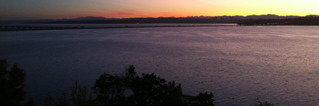 Cover image for post The World Outside My Window, by Scottyiii