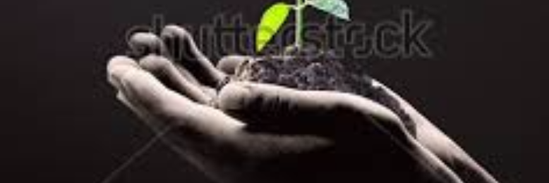 Cover image for post Seed in the Fresh Earth, by sandflea68