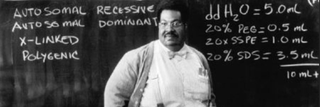 Cover image for post Leaf Sense, by Yowwa