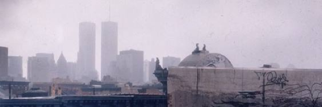 Cover image for post Yellow, by mtngirl