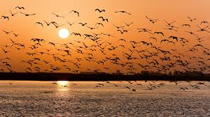 Cover image for post He Was Thinking, by 17