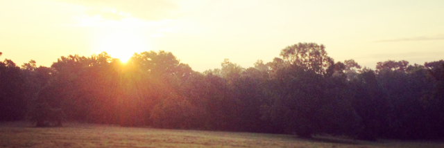 Cover image for post Compass Needed, by YoursTruly